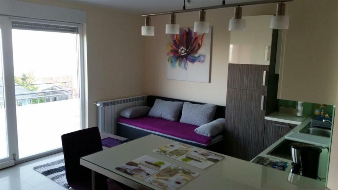Sandra With Free Private Parking Apartment Rijeka